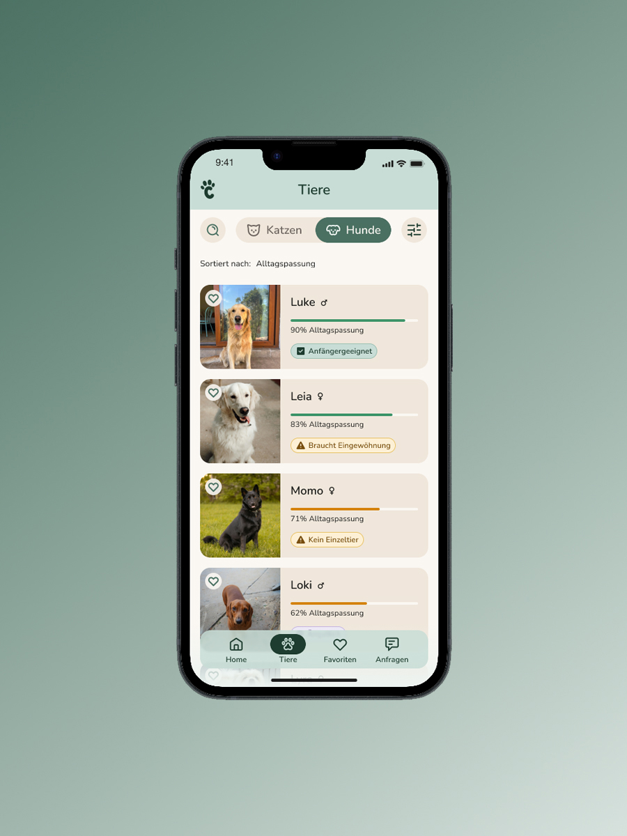 Before iteration screen, placeholder image