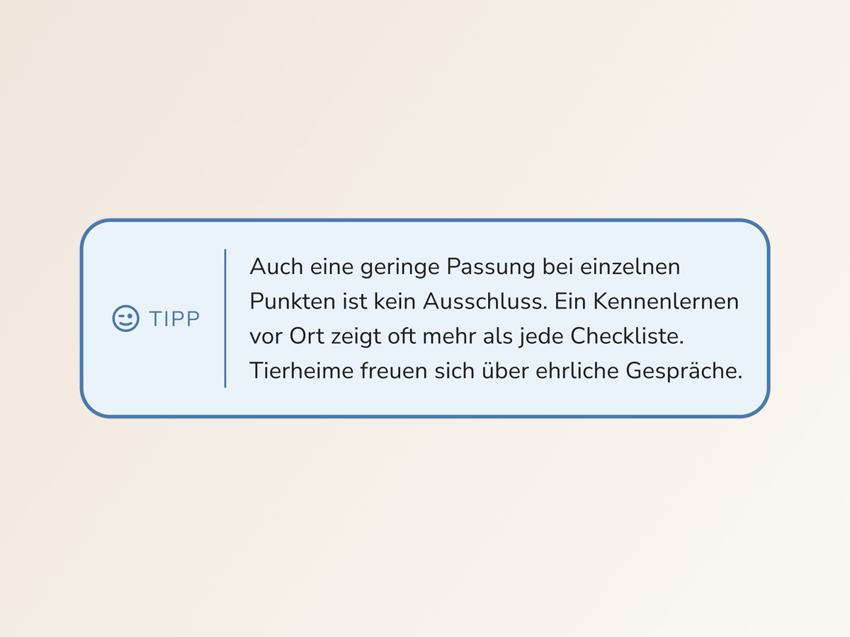 Copy examples, placeholder image